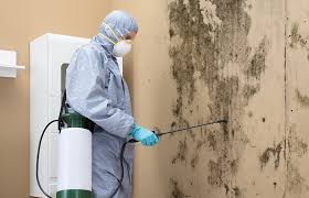 Mold Removal for HVAC Installations in Woodson Terrace, MO